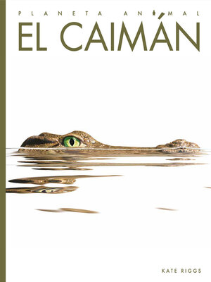 cover image of El caimán